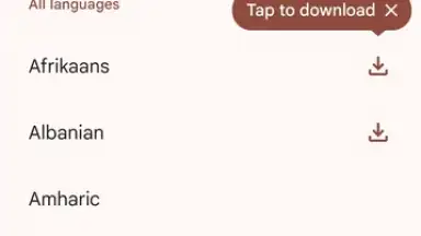 Google Translate screenshot 9