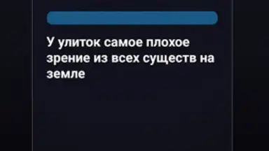 Правда или Ложь screenshot 20