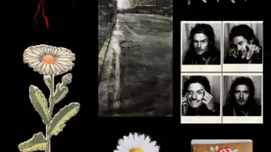 Shuffles by Pinterest screenshot 22
