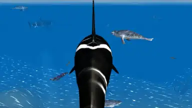 Orca Simulator screenshot 4