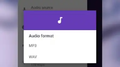 MP3 Recorder screenshot 9