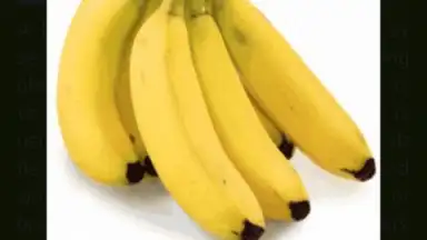 Food Dictionary screenshot 2