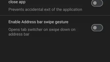 Vivaldi screenshot 7