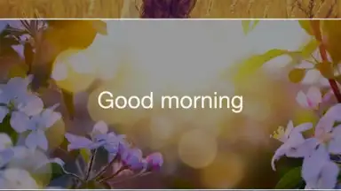 Insight Timer screenshot 9