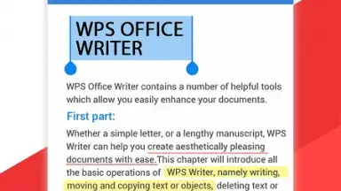WPS Office screenshot 13