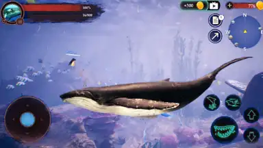 The Humpback Whales screenshot 7