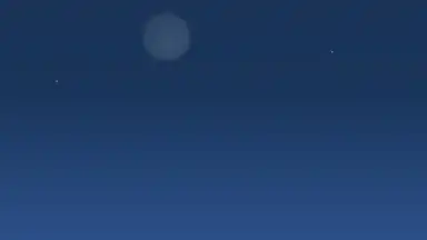 Chatous screenshot 12