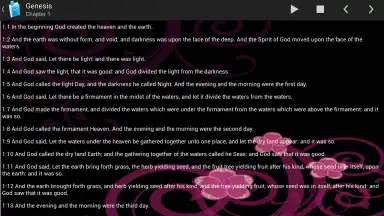 Holy Bible King James Version screenshot 9
