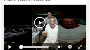 InShot Video Downloader screenshot 4