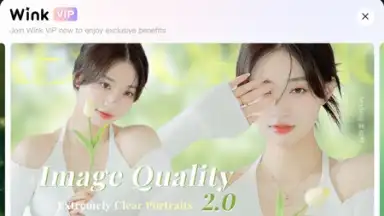 Wink screenshot 11