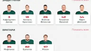 ХК Ак Барс screenshot 12