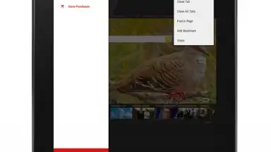 Anonymous Browser screenshot 17