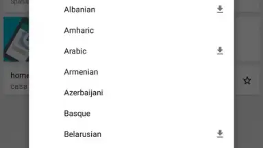 Google Translate screenshot 7