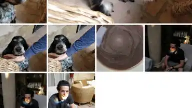 Google Photos screenshot 5