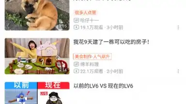 bilibili (CN) screenshot 8