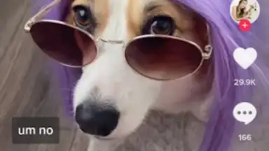Downloader for TikTok screenshot 2