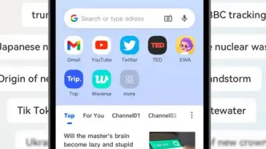 DDU Browser screenshot 2