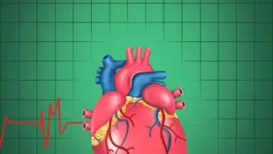 Cardiac Hospital screenshot 4