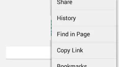 lnternet Exp1orer screenshot 3