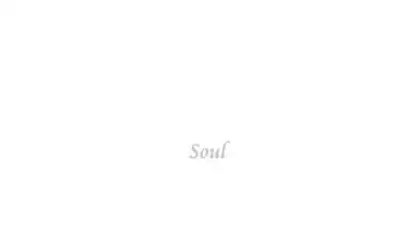 Soul Browser screenshot 9