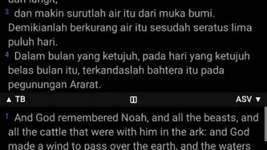 Alkitab screenshot 7
