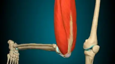 3D Anatomy Learning screenshot 5