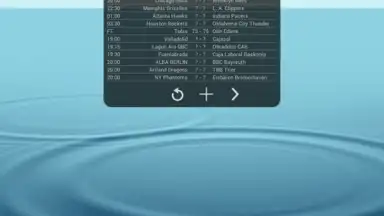 Basketball Livescore Widget screenshot 4
