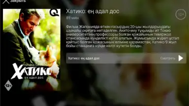 Galam TV screenshot 2