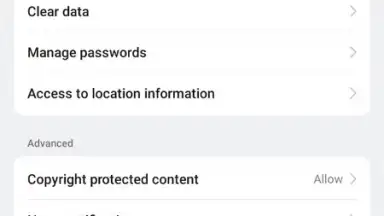 Internet Browser screenshot 9