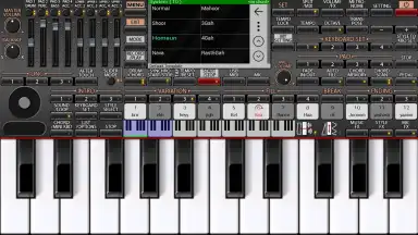 ORG 24 screenshot 2