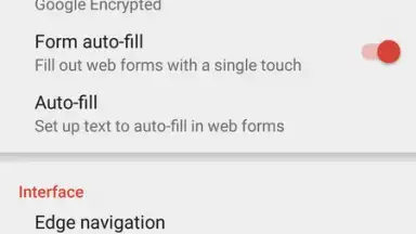 Pyrope Browser screenshot 2