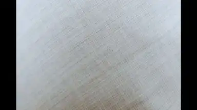 HedgeCam 2 screenshot 6