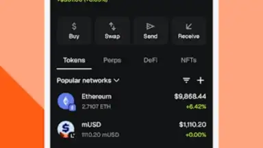 MetaMask screenshot 1