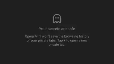 Opera Mini screenshot 7