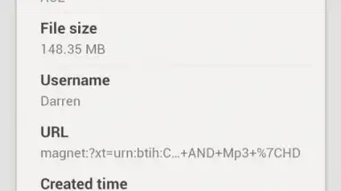 DS download screenshot 2