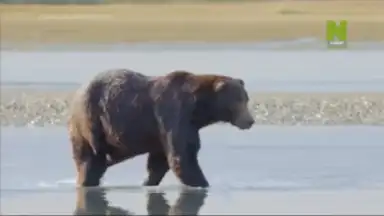 TV+ Kazakhtelecom screenshot 2