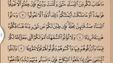 Quran Karim screenshot 5