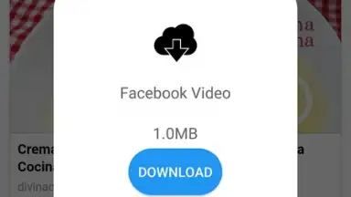 Daily Video Downloader screenshot 4