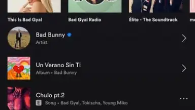 Spotify screenshot 6
