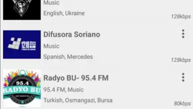 Radio FM screenshot 2