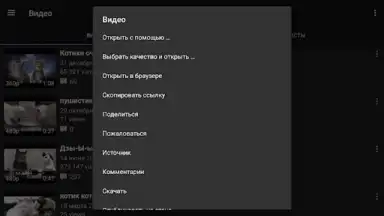 Video App for VK screenshot 9