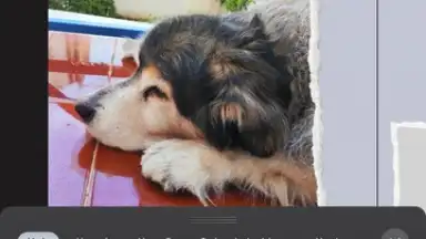 ProCCD screenshot 7