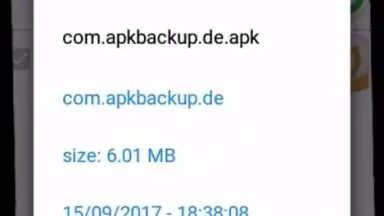 APK Backup(Pro) screenshot 3