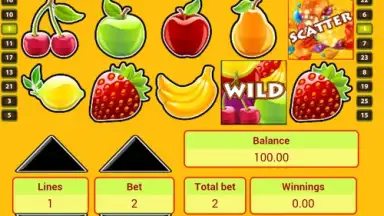 Ziddu screenshot 5