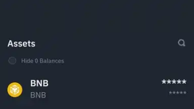 Binance screenshot 13