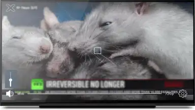 KgTv Player - IPTV Player screenshot 13