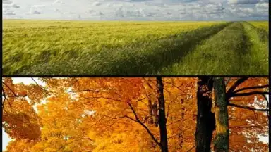 Samsung Photo Editor screenshot 3