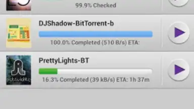 BitTorrent screenshot 3