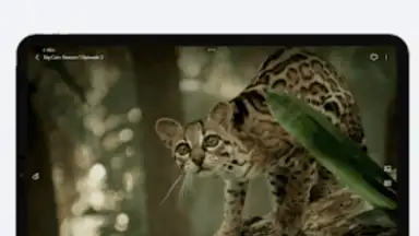 VidHub screenshot 15