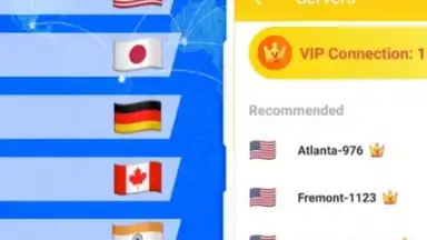 Lion VPN screenshot 2